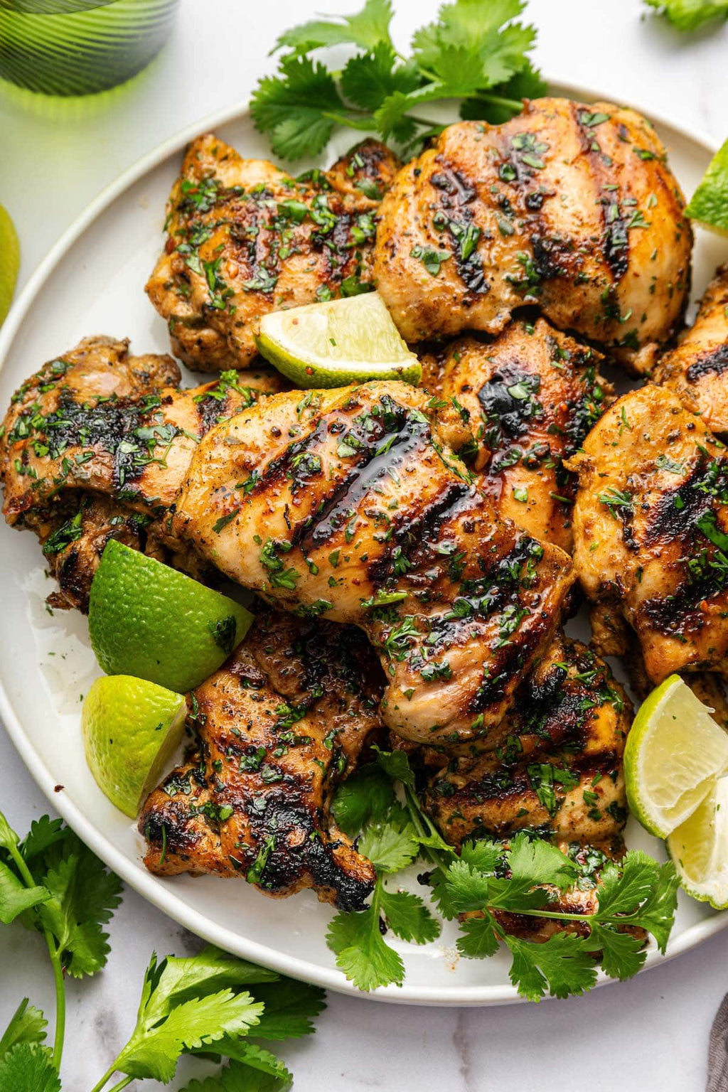 Lemon Garlic Marinade