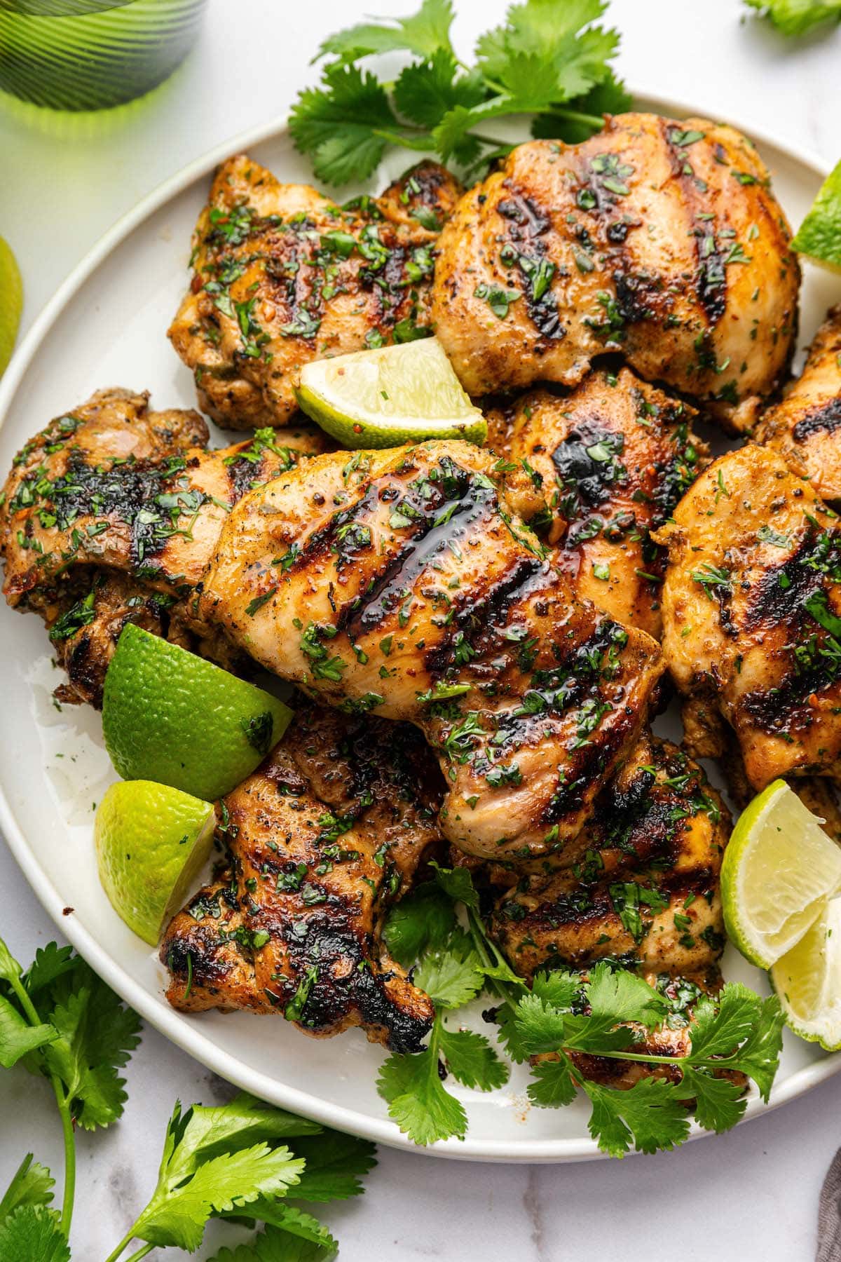 Lemon Garlic Marinade